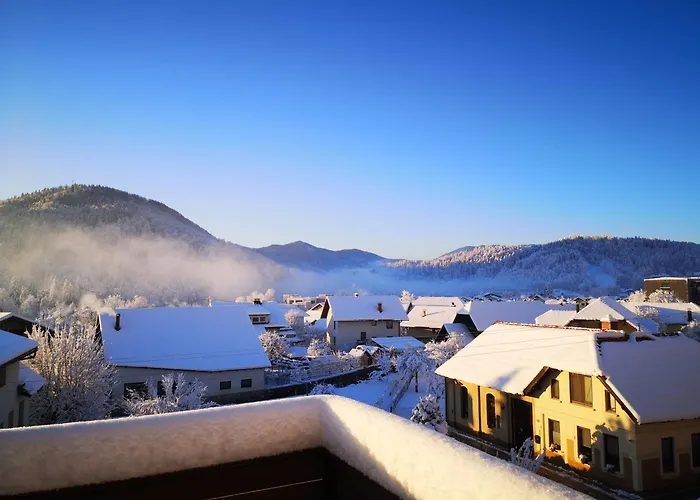 Apartma Lima Mozirje